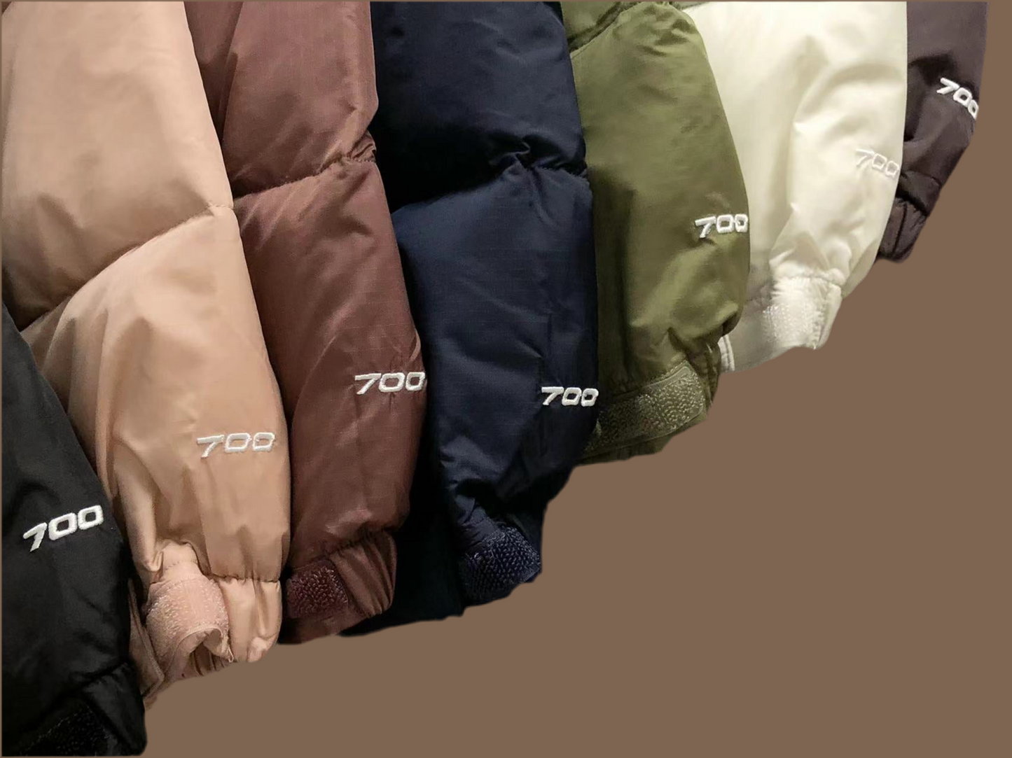 The North Face Jacket