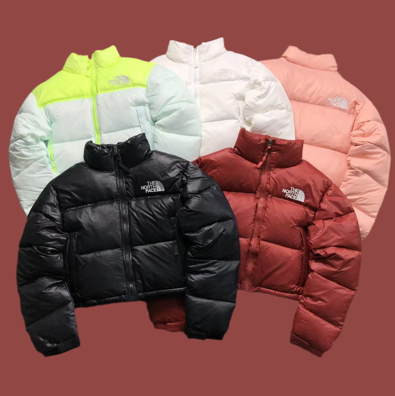 The North Face Jacket Woman
