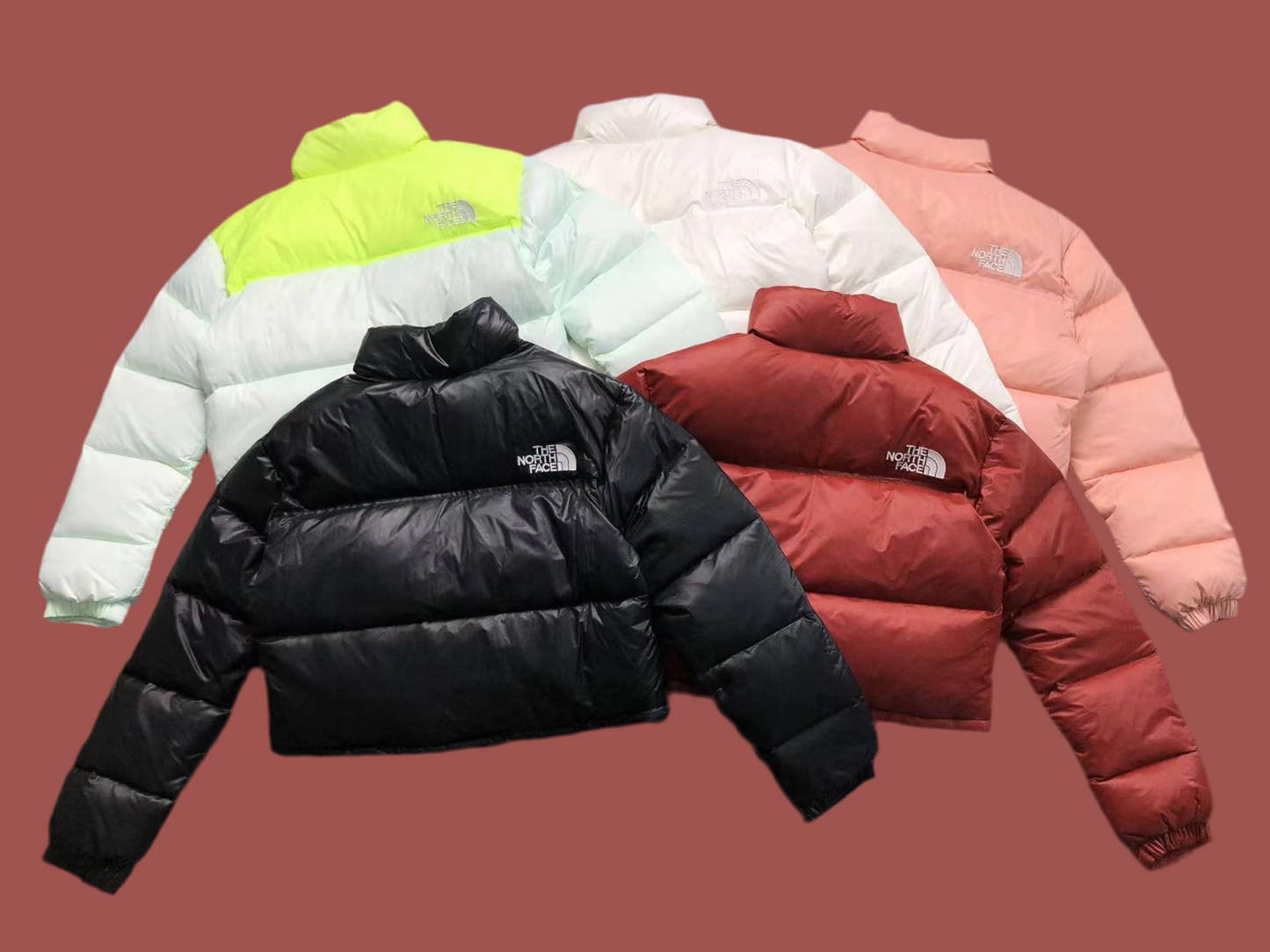 The North Face Jacket Woman
